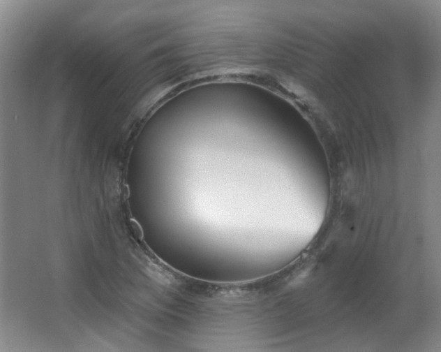 X0000066931169200603241108