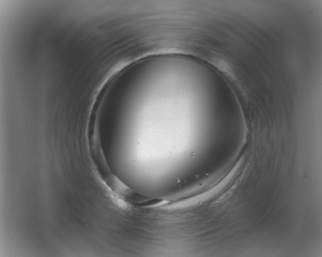 X0000066931181200603241108