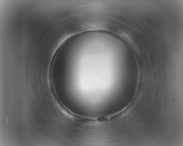 X0000066931182200603241108