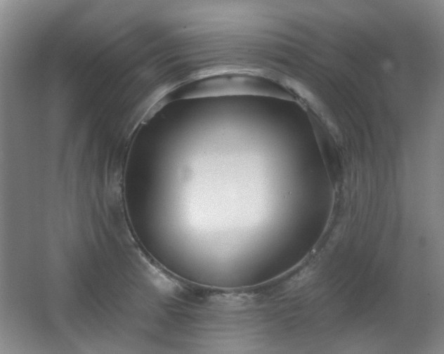 X0000066931185200603241108