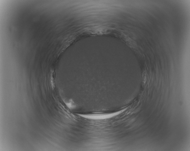 X0000066931202200603241107