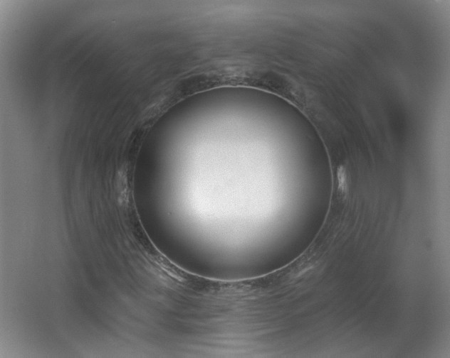 X0000066931203200603241107