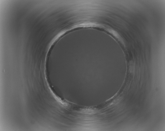 X0000066931229200603241107