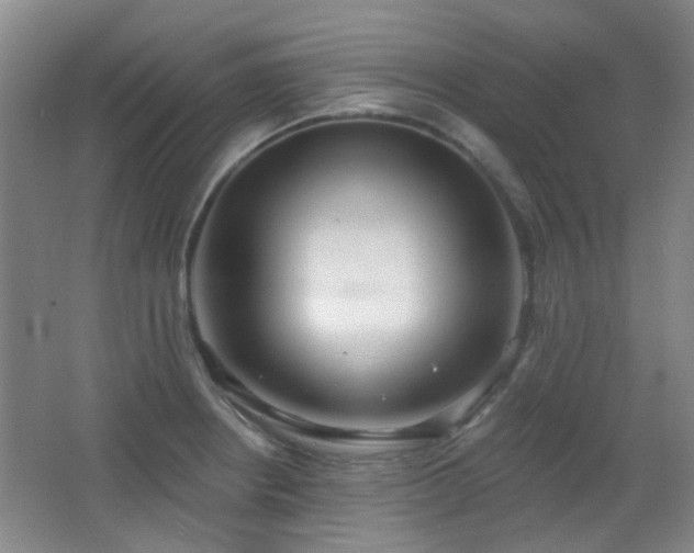 X0000066931234200603241107