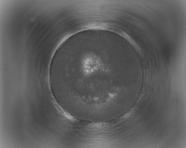 X0000066931240200603241108