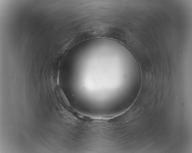 X0000066931250200603241107