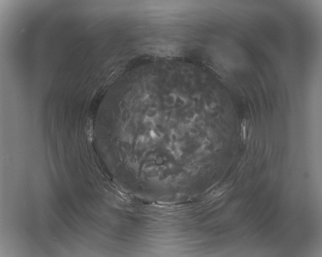 X0000066931251200603241107