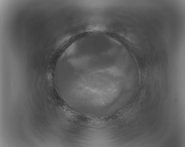 X0000066931254200603241107