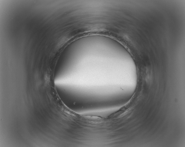 X0000066931257200603241107