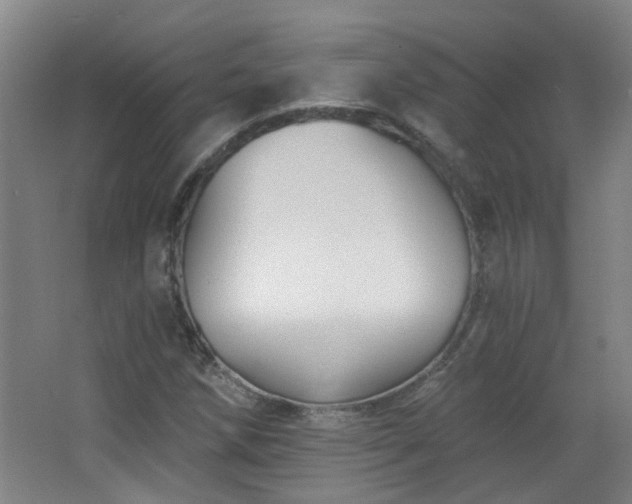 X0000066931258200603241107