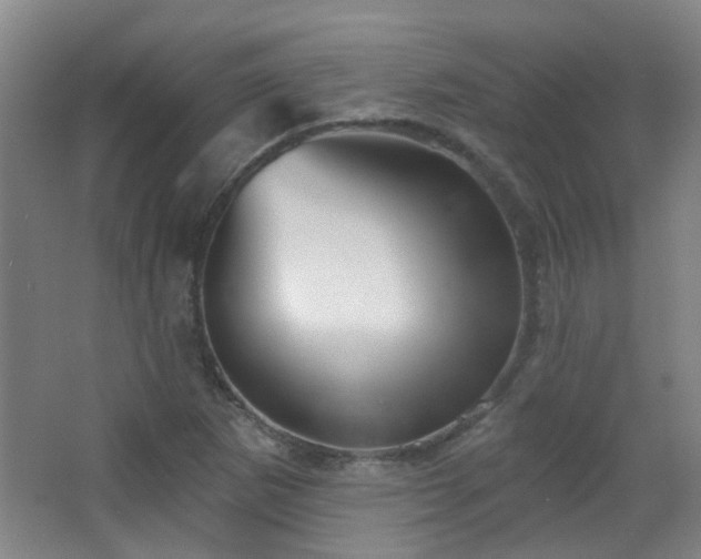 X0000066931265200603241107