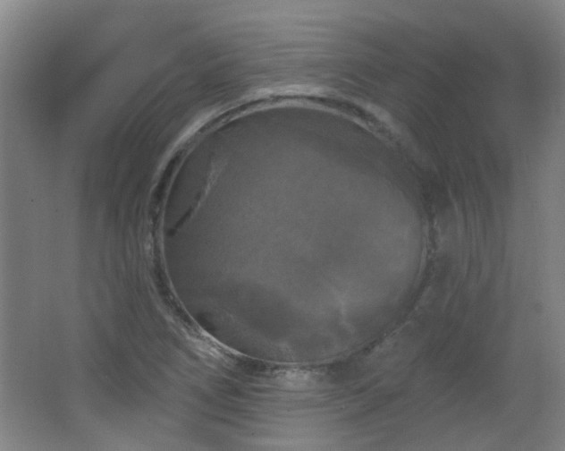 X0000066931266200603241107