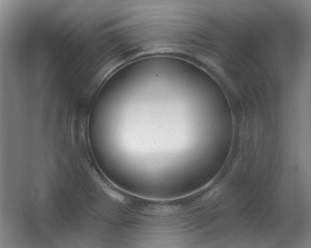 X0000066931273200603241106