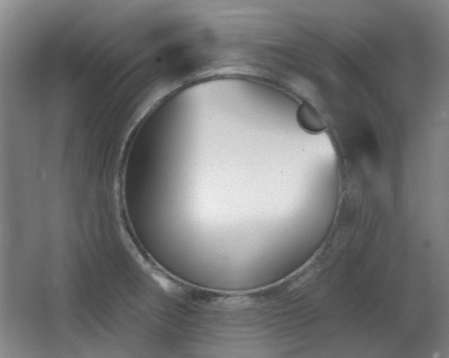 X0000066931282200603241106