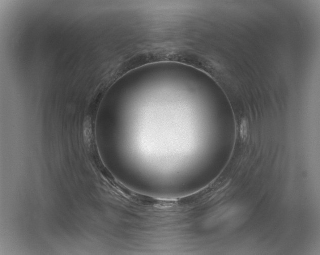 X0000066931299200603241105