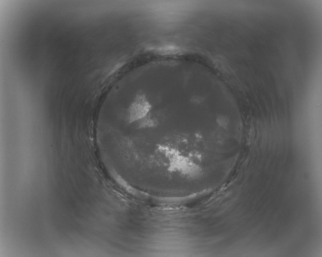 X0000066931301200603241105