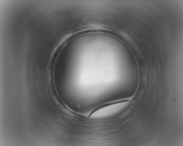 X0000066931318200603241106
