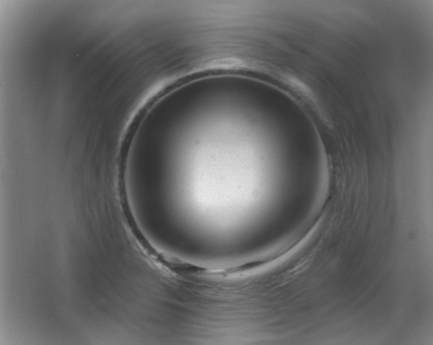 X0000066931326200603241106