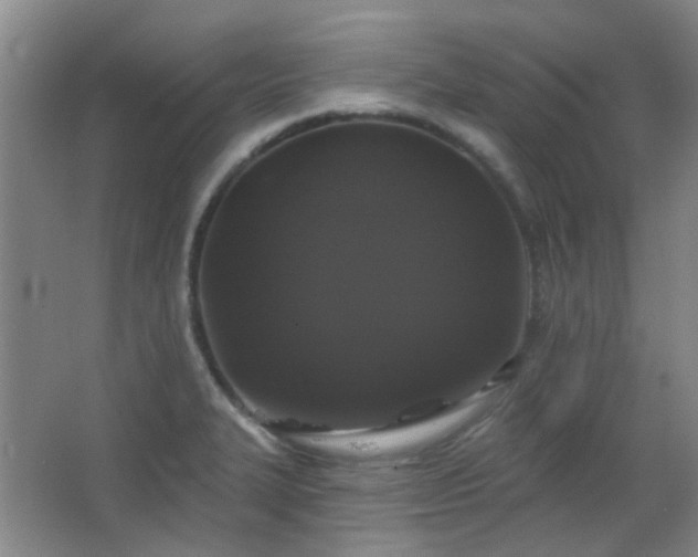 X0000066931327200603241106