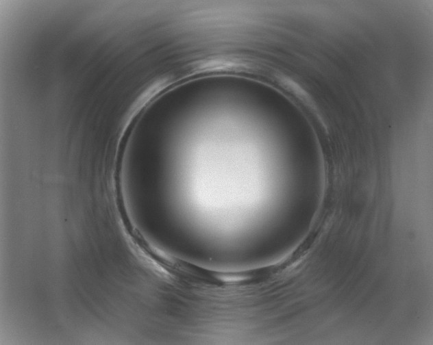 X0000066931330200603241106