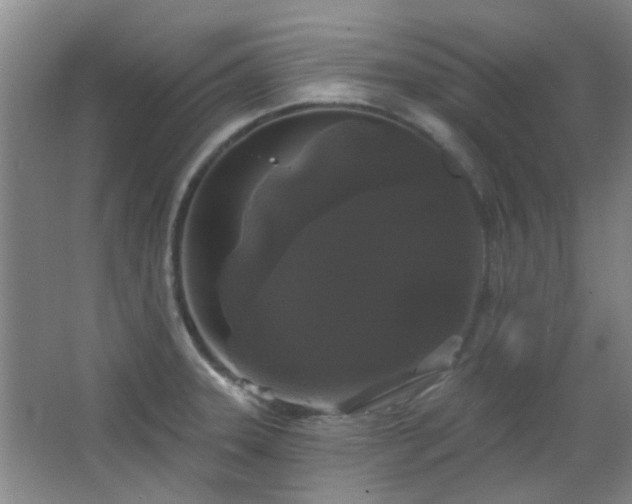 X0000066931331200603241106