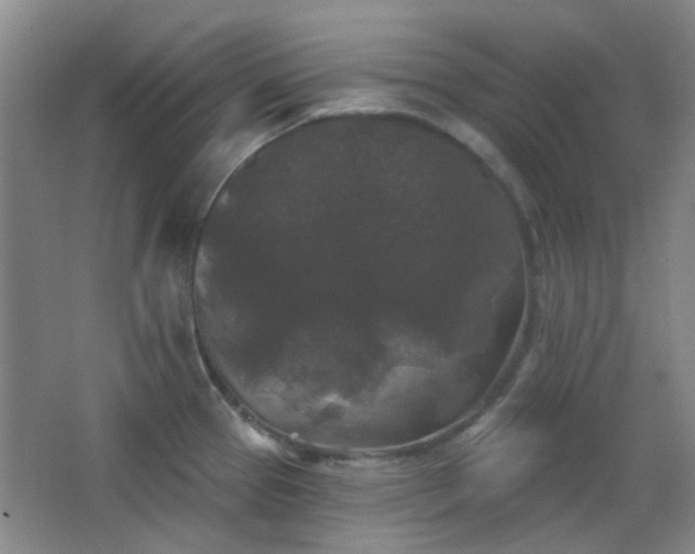 X0000066931337200603241106