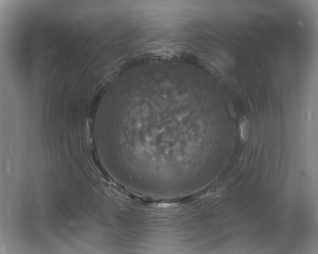 X0000066931347200603241105