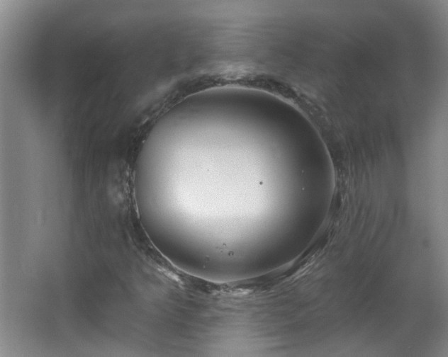 X0000066931349200603241105