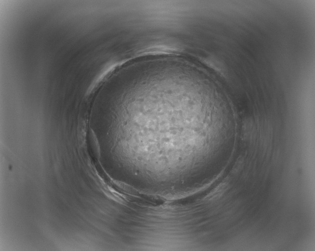 X0000066931355200603241105