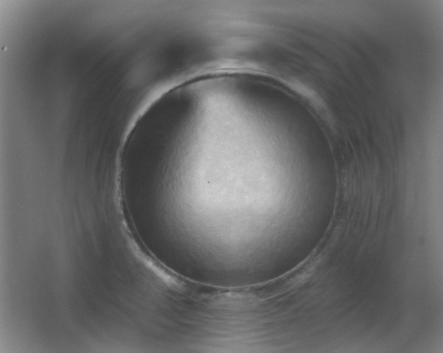 X0000066931374200603241105
