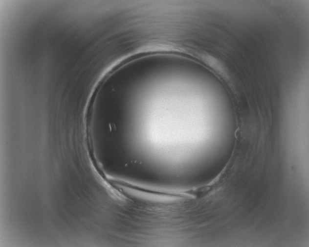 X0000066931380200603241105