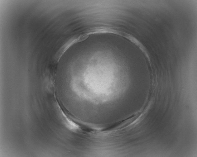 X0000066931385200603241105