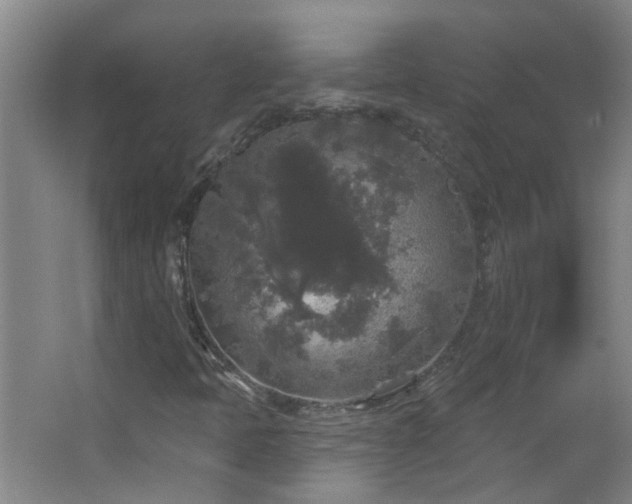 X0000066931397200603241104