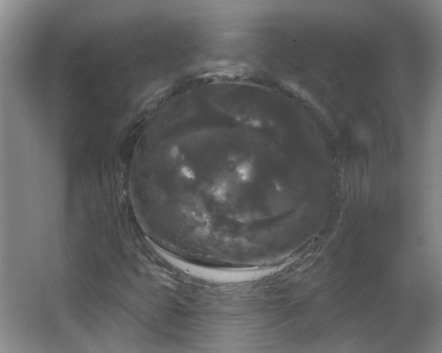 X0000066931399200603241104