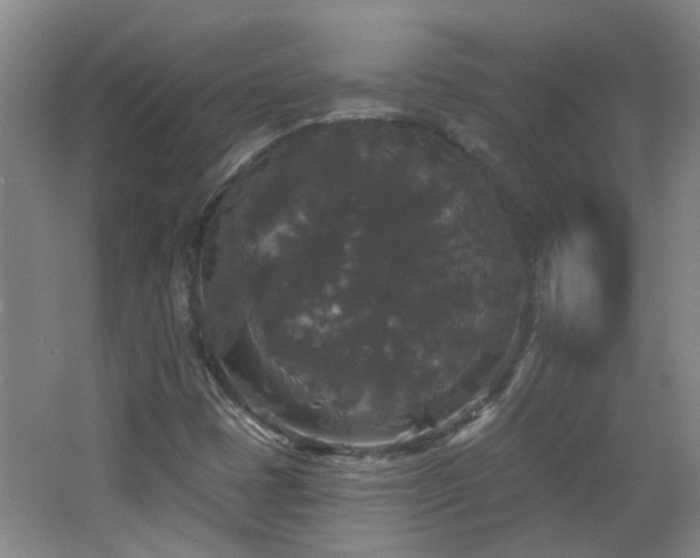 X0000066931401200603241104