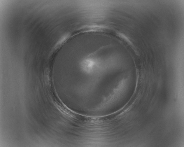 X0000066931403200603241104