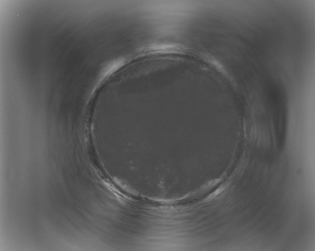 X0000066931405200603241104
