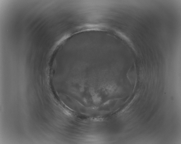 X0000066931411200603241104