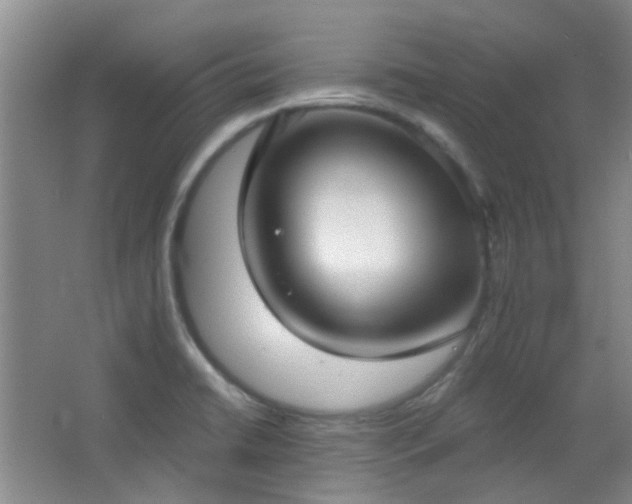 X0000066931422200603241104