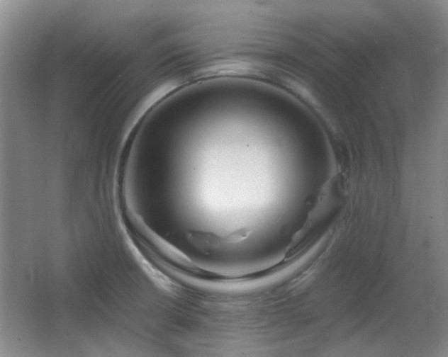 X0000066931426200603241104