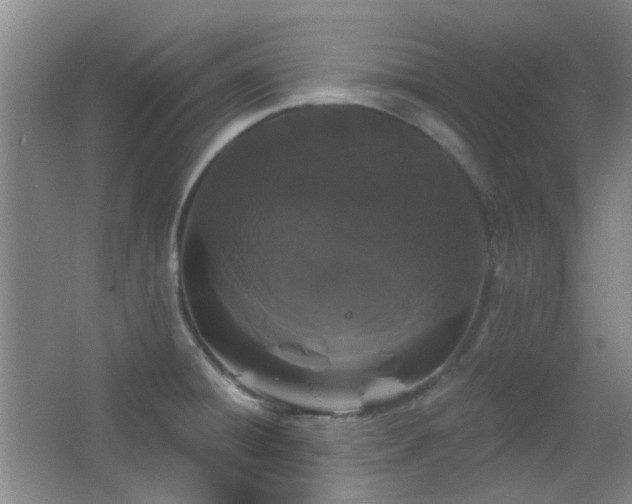 X0000066931428200603241104