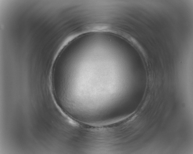 X0000066931432200603241104