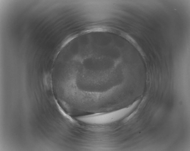 X0000066931433200603241104