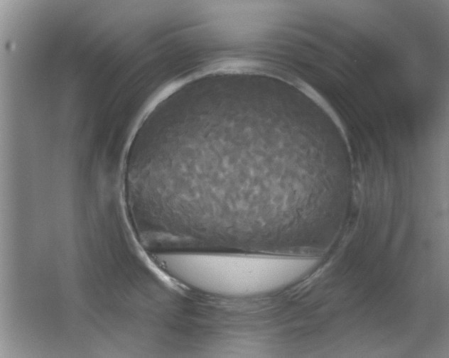 X0000066931437200603241104