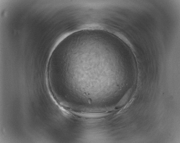 X0000066931440200603241104