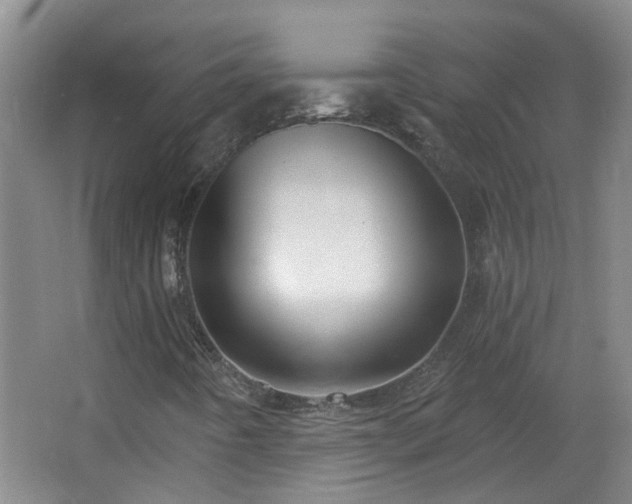 X0000066931442200603241104