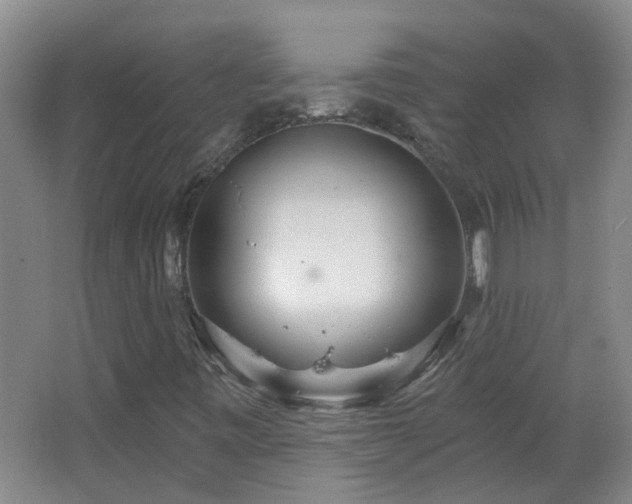 X0000066931443200603241104