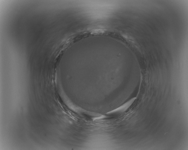 X0000066931445200603241104