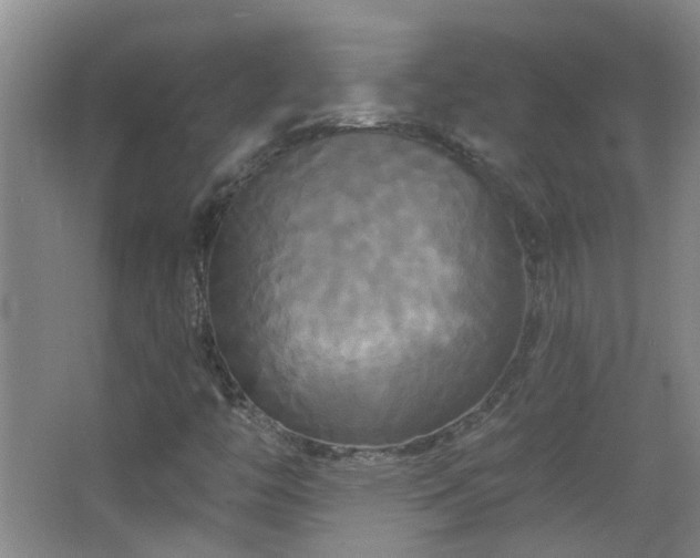 X0000066931446200603241104