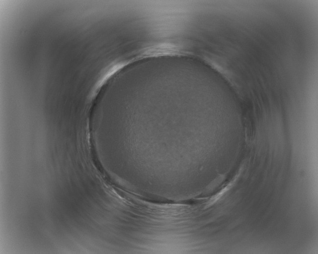 X0000066931453200603241103